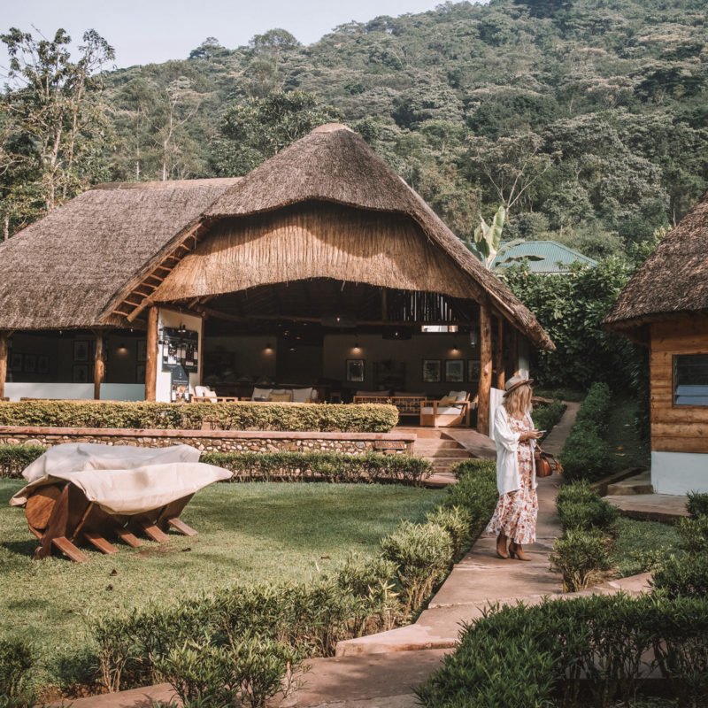 Sanctuary Retreats Gorilla Forest Camp